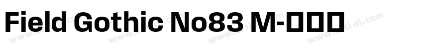 Field Gothic No83 M字体转换